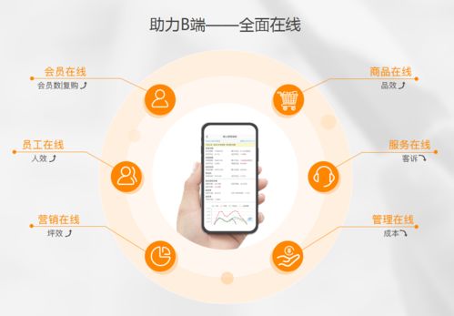 生鮮電商虧損潮中，點DMall為何能逆勢融資28億？
